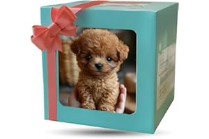 SOFELA Froplay Dog, Froplay Zoomer Pup Robot Dog, Interactive Plush Toy Realistic Puppy Toy Spark Curiosity, Electronic Walking with Barking, Tail Wagging, for Kids (Toy Poodle)