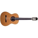 JT-450 - JT-450 - José Torres: Guitarra clásica JT450 : Amazon.es:  Instrumentos musicales
