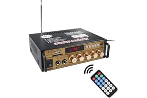 docooler 600W LCD Amplificatore,con Riverbero HiFi Audio Stereo BT FM Radio Mini Display 2CH Potenza Audio Stereo Auto Portatile Amplificatore Audio con Telecomando(d'oro)