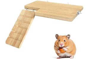 DIIWMME Plateforme échelle pour hamster, aire de jeux en bois naturel pour hamster, jouet pour petits animaux, plate-forme d'escalade, accessoires de cage pour cochon d'Inde, chinchillas, gerbilles