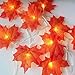 Produktbild ELINKUME Blätter Lichterketten, 20 LED Maple Leaf Lamp String, Blinken und konstant zwei Modi, Warmes weißes Licht, Batteriebox Power, 3M, IP54 wasserdicht