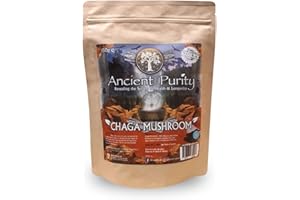 ANCIENT PURITY Chaga Champignon Médicinal Naturel Sibérien 150g