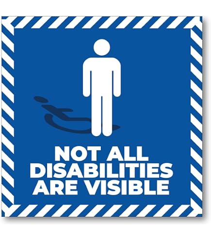 Not All Disabilities are Visible Car Sticker, Vinyl Decal Sticker, Car Van Window Buper Sticker