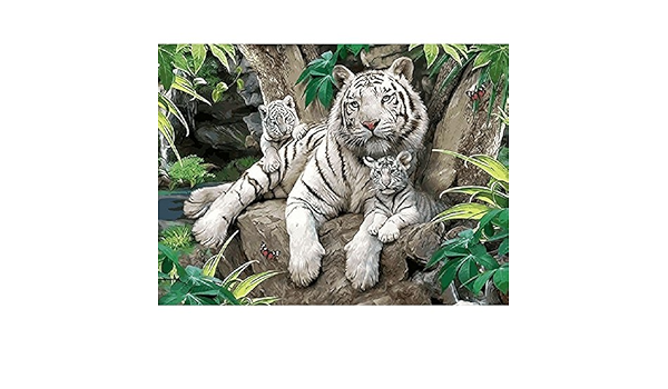 Zhxx Peinture Par Numero Adulte Grand Format Amour A Amsterdam Paysage Couleur Toile Peinture Cadeau Decoration Avec Cadre 40x50cm Enfant Tableaux Posters Et Arts Decoratifs Cuisine Et Maison Iplanmovilidad Com