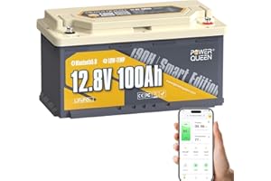 Power Queen Bluetooth Batterie Lithium 12V 100Ah Batterie LiFePO4 avec Protection Low-Temp, Sièges de Camping-Car DIN H8 L5 Taille Groupe 49, BMS Smart 100A,15000 Cycles pour Caravane Bateau Solaire
