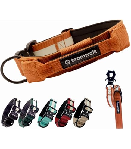 Großes Hundehalsband 5,1 Cm Breit – Robustes Nylon Mit Griff, Für Große Hunde 55,9–68,6 Cm