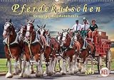  Pferdekutschen - Vorgänger des Automobils (Wandkalender 2019 DIN A2 quer): Kutschen, früher Statussymbol und das Reisefahrzeug schlechthin. (Monatskalender, 14 Seiten ) (CALVENDO Tiere)
