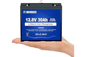 DCHOUSE Batterie Mini LiFePO4 12V 30Ah, groupe BCI U1 avec BMS 30A, coupure basse température, plus de 4000 cycles profonds. Idéale pour les détecteurs de poissons, les moteurs de pêche à la traîne