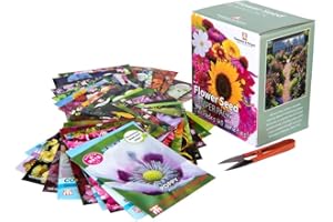 THOMPSON & MORGAN Flower Seed Box Bumper Pack Includes 40 Different Varieties Aster, Cosmos, Sunflower, Poppy, Pansy and More Plus 1 Pair of Garden Snips, 1 x Flower Seed Bumper Pack by Thompson and Morgan