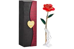 BESTYKS Valentinstag Ewige Rose,Eternal Rose,Die Schöne und das Biest,Rote Galaxie Rose Geschenke für Freundin Frau am Muttertag Geburtstag Valentinstag Jahrestag
