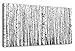 Produktbild arteWOODS Nature Forest auf Leinwand, Bilder für Home Dekorationen 20 x 40-inch Birchwoods