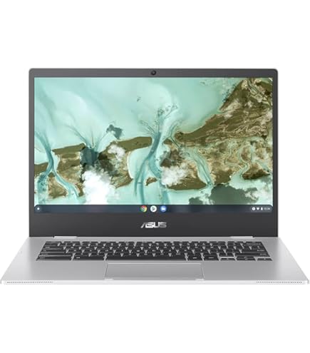 ASUS Touchscreen Chromebook Flip C214MA 11.6 Inch Laptop