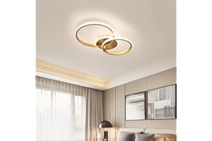 LANEKD Lámpara de Techo para Dormitorio Salón Diseño Moderno Redondo de LED Regulable Oficina Comedor Cuarto de Baño Lámpara Colgante con Mando a Distancia Lámpara Colgante de Acrílico Chic Decor para Cocina