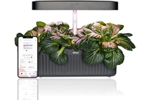 Vahaa Smart Garden - Mobile App Controlled Indoor Hydroponics growing system Herb and Vegetable Cultivation Kit Grow Your Own Produce Kitchen Garden with Starter Kit (Black)