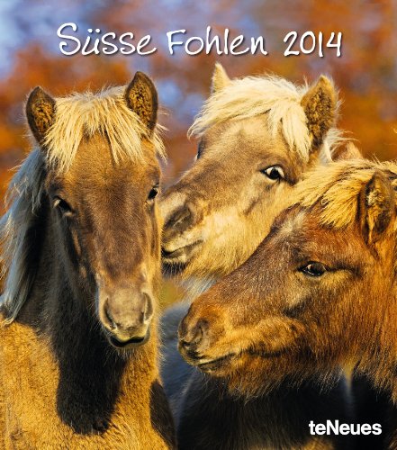 Süße Fohlen 2014