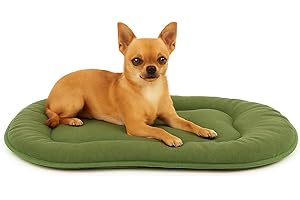 Flamingo Coussin pour Chien Firenze Fin Ovale Vert - 45x33x3cm - Idéal pour Chihuahua, Yorkshire Terrier, Spitz Nain, Caniche Toy & Bichon Maltais