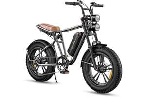 ENGWE M20 Bici Elettrica Per Adulti, Batteria Rimovibile Da 48V 26AH/13AH, Bicicletta Elettrica Fuoristrada, Pneumatici Larghi Da 20" * 4,0", Fino a 150KM Con Doppia Sospensione