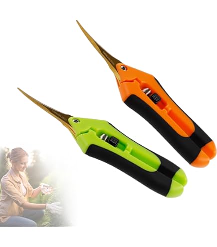 Grove Bags Aufbewahrungsbeutel - Luftdicht & Geruchsdicht