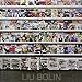 Liu bolin by 