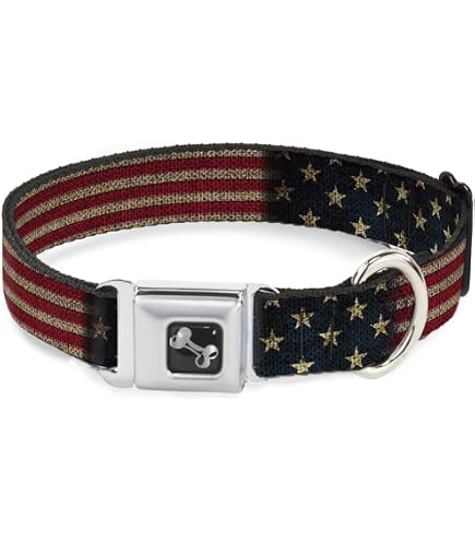 Coole Hundehalsband Mit Texas-Flaggen-Motiv – Sicherheitsgurt-Schnalle, Verstellbar Für Halsumfang 38–66 Cm