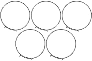 RITOEASYSPORTS 5 Pièces Ressort de Cliquet de Moyeu de Vélo en Acier Inoxydable Ressort de Cliquet de Corps de Roue Libre pour Point D'appui F0 / F1 / F3 / F5 / XL/KT pièces détachées vélo Ressort De Roue Libre