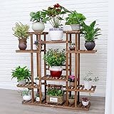 bonsai zero higuera ★ Cliente: Aunque la diferencia de tiempo, pero nuestro servicio al cliente será de 24 horas para responder a todas sus preguntas, para ofrecerle una solución satisfactoria.