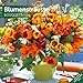 Blumensträuße 2013 by