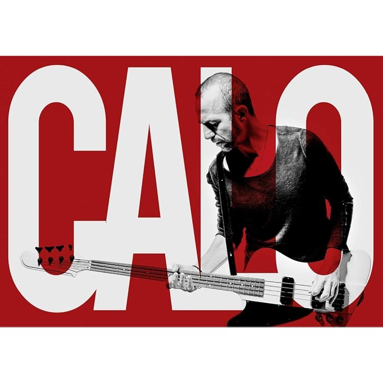 CALOGERO CD LES FEUX D'ARTIFICE EU盤 CALOGERO CD LES FEUX D'ARTIFICE EU盤 CD Deluxe
