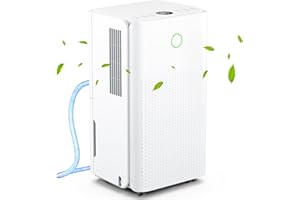 JERVAMNI Deumidificatore Casa 12L/Giorno, Deumidificatore Portatile Silenzioso Contro Muffa e L'umidità, Asciugatura Biancheria, 24H Timer, Scarico Continuo, Ideale per Armadio, Garage, Bagno, Lavanderia