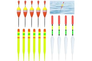 TEUENA 15 PCS Fishing Floats Tackle Set, Waggler Floats Coarse Fishing, Carp Floats for Fishing in Stillwater and Running Waters, Mixed Float and Accessory Set