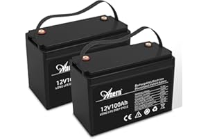 Anern Batteria Litio 12V 100Ah, Batteria Lifepo4 1280Wh con BMS 100A Fino a 15000 Cicli perfetto per il campeggio, l'accumulo di energia domestica solare, RV, Off-Grid(Confezione da 2))