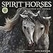 Produktbild Spirit Horses 2019 Wall Calendar: Photographs by Tony Stromberg