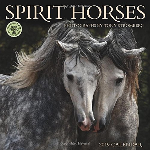 Preisvergleich Produktbild Spirit Horses 2019 Wall Calendar: Photographs by Tony Stromberg