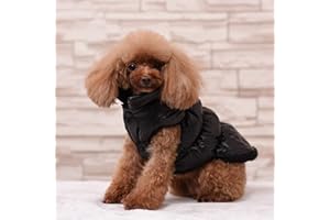 Rantow Autunno Inverno Cane di Cane da Compagnia, Caldo Cappotto, 7 Colori Pet Classico Outwear Giù Giacca per Teddy, Yorkshire Terrier, Chihuahua, Pomerania
