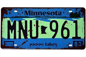 Eureya Plaque en métal en étain pour maison, café, bar, décoration murale, plaque d'immatriculation de voiture 30 x 15 cm – Souvenir parfait, Fer, Minnesota Mnu-961, 30X15cm