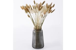 YUKIYI Lagurus Bunny Tails Pampasgras Dekor für Heimdekoration, Kuchendekoration, Kaninchenschwänze, getrocknete Blumen, Blumenstrauß für Boho-Dekoration, Tischdekoration, Schlafzimmer-Dekoration, 60 Stiele,