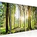 Produktbild Bilder Wald Landschaft Wandbild 150 x 60 cm Vlies - Leinwand Bild XXL Format Wandbilder Wohnzimmer Wohnung Deko Kunstdrucke Grün 5 Teilig - MADE IN GERMANY - Fertig zum Aufhängen 503856b