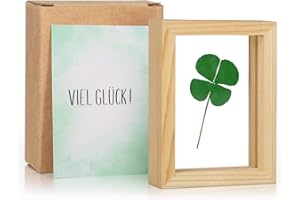 Giftota Portafortuna, Grande Quadrifoglio con Biglietto di buona Fortuna, Fatto a Mano, Piccolo Regalo per Felicità, Regalo di Ringraziamento, Regalo Portafortuna