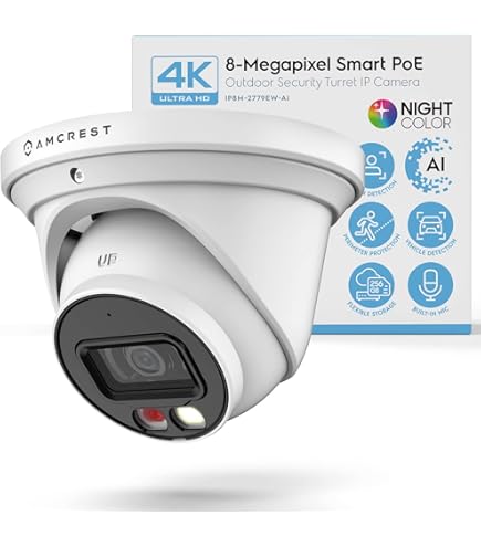 Telecamera IP Fisheye Amcrest 5MP PoE – Visione 360° Panoramica, Visione Notturna, IVS, Conteggio Persone – Modello IP5M-F1180EW-V2 - 2