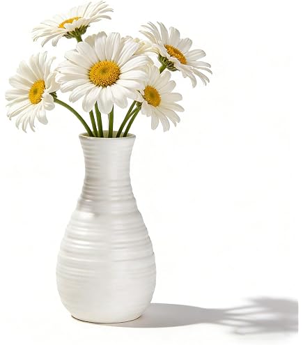 Decorazione del giardino di casa AB vaso da fiori rotondo con lato inverso vasi