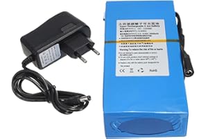 OMURGA Batteries pour vélo 12V 20000mAh,Batteries vélo au Lithium 12V 20Ah pour caméras vidéosurveillance Lumineuses LED Plus Encore avec Chargeur [Classe énergétique A]