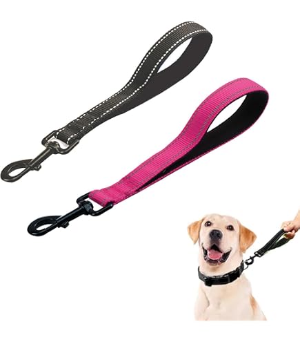MJH Moxon Leine Beta BioThane – 16 Mm Breit, 2 M Lang, Neon Pink, Mit Handschlaufe