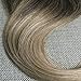 Full Shine 18" 10 Pcs 120g Full Set Clip in Hair Extensions Ombre Balayage Human Hair Clip in Human Hair Extensions Colour #2 Fading to Colour #6#18 Ash Blonde Hair Extensions Human Hair