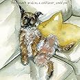 Cheeky Border Terrier dog BLANK Birthday greeting card - Cold Beer