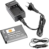 DSTE Rechange Batterie et DC109E Voyage Chargeur pour Nikon EN-EL19 Coolpix S100 S2500 S2600 S2700 S2750 S3100 S3200 S3300 S3