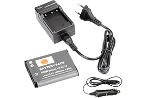 DSTE® Ersatz Batterie und DC109E Reise Ladegerät Compatible für Nikon EN-EL19 Coolpix S2500 S2600 S2700 S2750 S3100 S3200 S3300 S3400 S3500 S4100 S4150 S5200 S6400 S6500 S6600 S6900 as Sony NP-BJ1