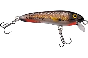 ‎ABU GARCIA Abu Garcia Svartzonker McCelly Diving Hechtköder – Realistischer, handbemalter Hardbait mit starken Berkley Fusion Drillingshaken