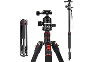 CAMBOFOTO Professional Portable Tripod 169cm/Monopod 173cm, 4 Sections with 3/8" Exchangeable 360 Degree Ball Head, Aluminum Tripod with 1/4" Quick Release Plate for Nikon Canon DSLR …