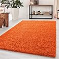 BPIL Shaggy Rugs Soft plain Thick Pile Large Small Antiskid Area Rug (Orange, 120X170CM)