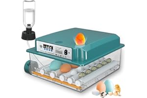 CoInceptus Incubatrice per Uova Automatica, Incubatrice per 12-16 Uova con Rotazione Automatica delle Uova e Aggiunta Automatica dell'acqua, Incubatrice per Uova di Gallina, Quaglia, Anatra